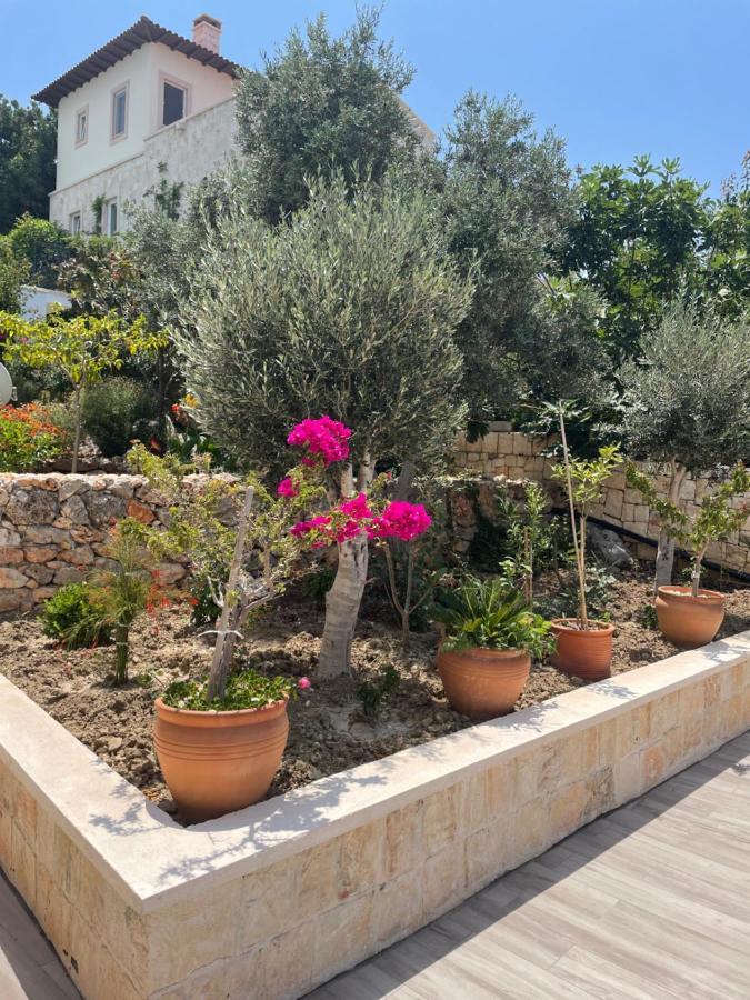 Villa Xanthos Kas Bagian luar foto
